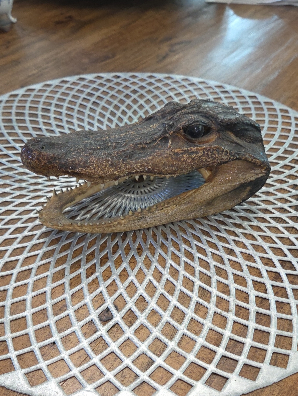 Decorative Alligator Head